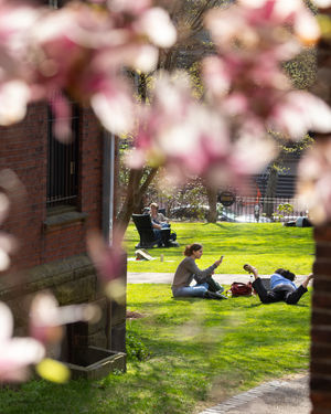 Image post by @brownu on Instagram