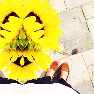Image post by @ysann3 on Instagram