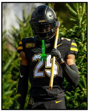 Image post by @djerchower.photo on Instagram