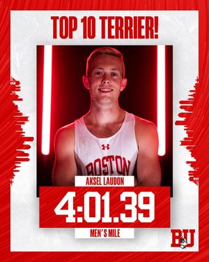 Image post by @terriertfxc on Instagram