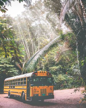 Image post by @iamdrewferguson on Instagram