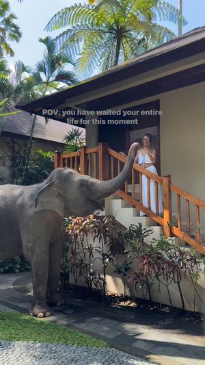 Video post by @b r o o k e🦈 on Facebook