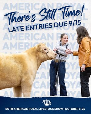 Image post by @AmericanRoyalLivestock on Facebook