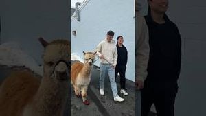 Video post by @nickdigiovanni on YouTube