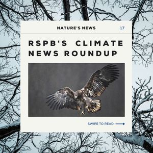 Image post by @rspb on Instagram