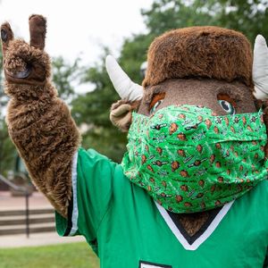 Image post by @marshallu on Instagram
