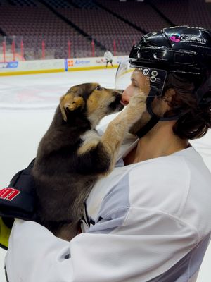 Image post by @cincycyclones on Instagram