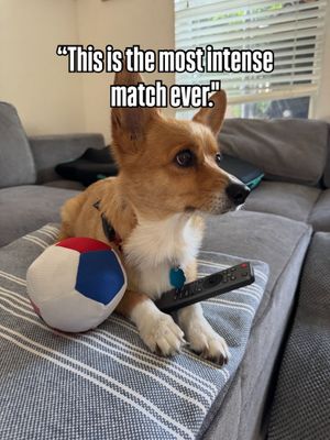 Image post by @aircorg on Instagram