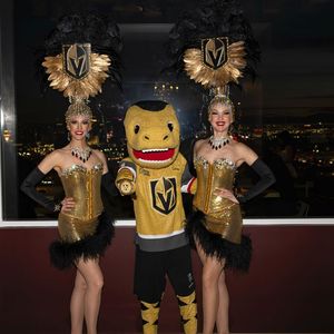 Image post by @chancenhl on Instagram