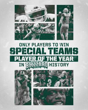 Image post by @greenbayblizzard on Instagram
