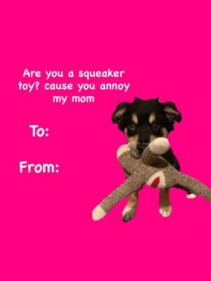 Image post by @booplethesnoot on Instagram