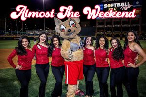 Image post by @chico_epchihuahuas on Instagram