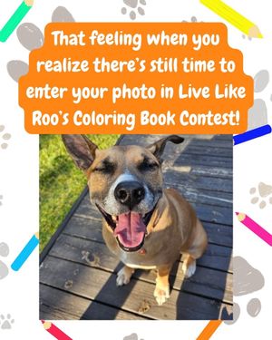 Video post by @livelikeroofoundation on TikTok