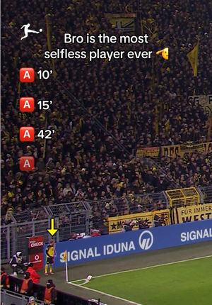 Video post by @bundesliga on TikTok