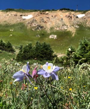 Image post by @breckenridgemtn on Instagram