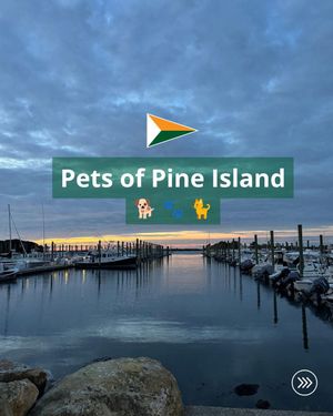 Image post by @pineislandmarina on Instagram