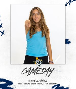 Image post by @goetbutigers on Instagram