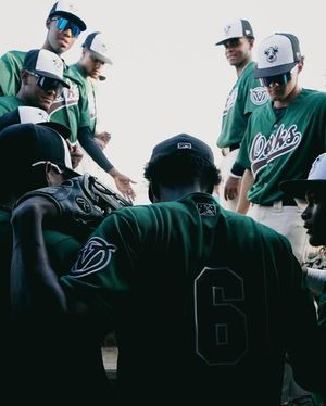 Image post by @visaliarawhide on Instagram