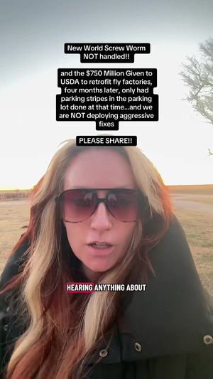 Video post by @claredunnmusic on TikTok