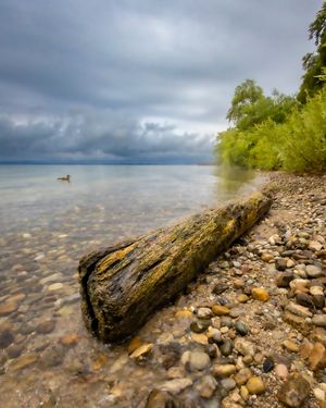 Image post by @cristan.nature.photography on Instagram