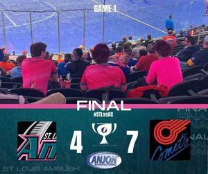 Image post by @stlouisambush on Instagram