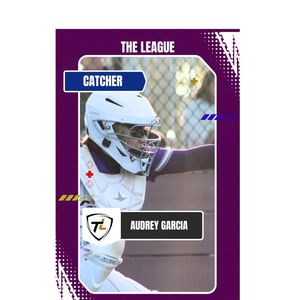 Image post by @gamereadyenterprises on Instagram