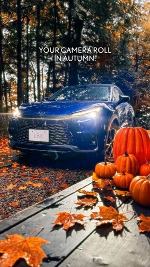 Video post by @discoverlexus on Instagram