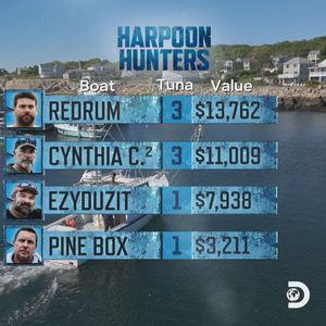 Image post by @Discovery on Twitter
