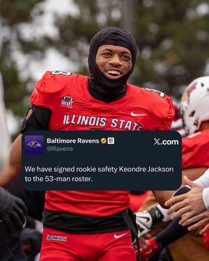 Image post by @isuredbirdfb on Instagram