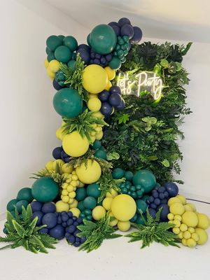 Image post by @balloonoccasions on Instagram