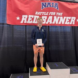 Image post by @saubees on Instagram