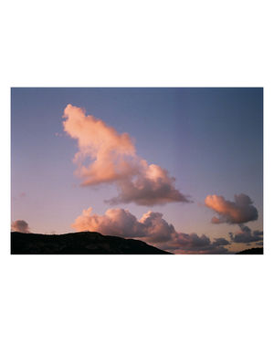 Image post by @kodakprofessional on Instagram