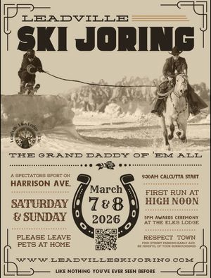 Image post by @leadvilleskijoring on Instagram