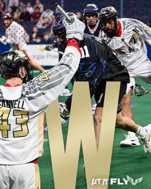 Image post by @nllwings on Instagram