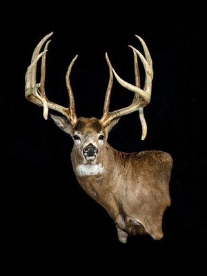 Image post by @realtreeoutdoors on Instagram