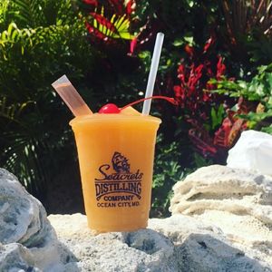 Image post by @seacretsusa on Instagram