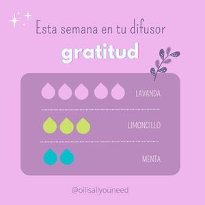 Image post by @oilisallyouneed on Instagram
