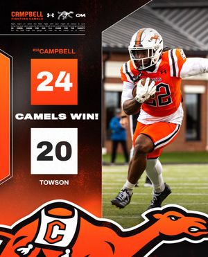 Image post by @gocamelsfb on Instagram