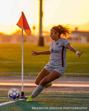 Image post by @brandongensonphotos on Instagram