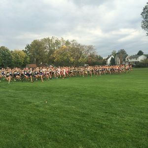 Image post by @ndxctf on Instagram