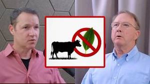 Video post by @realdavefeldman on YouTube