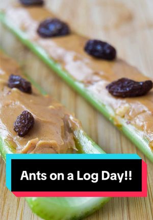 Video post by @bugbustersusa on TikTok