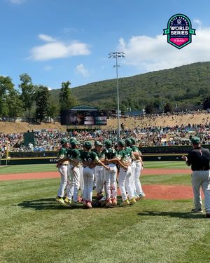 Image post by @littleleague on Instagram