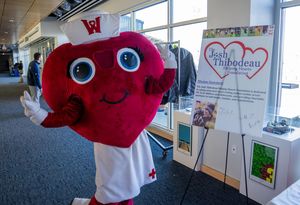 Image post by @gowoosox on Instagram