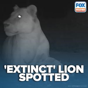 Image post by @foxweather on Instagram