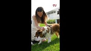 Video post by @newsday on YouTube