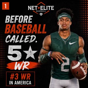 Image post by @netelitebaseball on Instagram