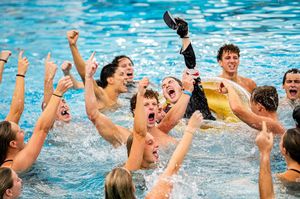 Image post by @utampaswimming on Instagram