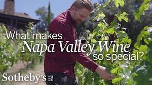Video post by @sothebys on YouTube