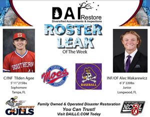 Image post by @newportgulls on Instagram